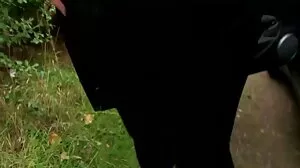 Floozies allemands installant porno gratuit vieille des jouets les uns sur les autres