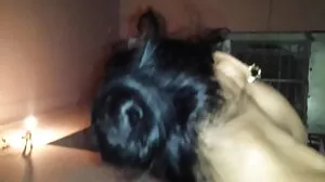 La ravissante Donna joue seule dans x vieille femme le jardin